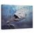Tablou Canvas - Nava Sperantei, Marime: 60 x 90 cm - - Roveli