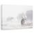 Tablou Canvas - Caini In Furtuna, Marime: 60 x 90 cm - - Roveli