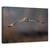 Tablou Canvas - Zbor Spre Mine, Marime: 60 x 90 cm - - Roveli