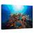 Tablou Canvas - Apnee, Marime: 60 x 90 cm - - Roveli