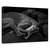 Tablou Canvas - Doua, Marime: 60 x 90 cm - - Roveli