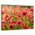 Tablou Canvas - Lumina Din Spate, Marime: 60 x 90 cm - - Roveli
