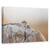 Tablou Canvas - Bufnita Mica, Marime: 60 x 90 cm - - Roveli