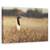 Tablou Canvas - Aripa Iluminata, Marime: 60 x 90 cm - - Roveli
