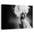 Tablou Canvas - Stea, Marime: 60 x 90 cm - - Roveli
