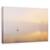 Tablou Canvas - Dimineata Cetoasa, Marime: 60 x 90 cm - - Roveli