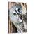 Tablou Canvas - Cine E Acolo?, Marime: 60 x 90 cm - - Roveli