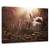 Tablou Canvas - Marele Covfefe, Marime: 60 x 90 cm - - Roveli