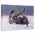 Tablou Canvas - Dansand In Zapada, Marime: 60 x 90 cm - - Roveli