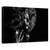 Tablou Canvas - Intre Lumini Si Umbre, Marime: 60 x 90 cm - - Roveli
