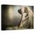 Tablou Canvas - Pregatirea Pentru Dans, Marime: 60 x 90 cm - - Roveli