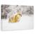 Tablou Canvas - Vulpea Rosie Intr-O Furtuna De Zapada, Marime: 60 x 90 cm - - Roveli