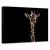 Tablou Canvas - Salut, Marime: 60 x 90 cm - - Roveli