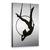 Tablou Canvas - Aerialistul, Marime: 60 x 90 cm - - Roveli