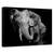 Tablou Canvas - Salbatic, Marime: 60 x 90 cm - - Roveli