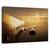 Tablou Canvas - Zbor De Aur, Marime: 60 x 90 cm - - Roveli