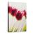Tablou Canvas - Lalele, Marime: 60 x 90 cm - - Roveli
