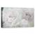 Tablou Canvas - Flori, Bujor, Alb-Roz, Pictura, Marime: 50 x 100 cm - - Roveli