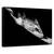 Tablou Canvas - Prins In Pacat, Marime: 60 x 90 cm - - Roveli