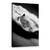 Tablou Canvas - Echitatie, Marime: 60 x 90 cm - - Roveli