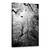 Tablou Canvas - Zbor, Marime: 60 x 90 cm - - Roveli