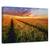 Tablou Canvas - Undeva La Apus, Marime: 60 x 90 cm - - Roveli