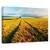 Tablou Canvas - Rural, Marime: 60 x 90 cm - - Roveli