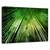 Tablou Canvas - Noapte De Bambus, Marime: 60 x 90 cm - - Roveli