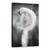 Tablou Canvas - Intrebari Despre Aceasta Manevra, Marime: 60 x 90 cm - - Roveli