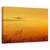 Tablou Canvas - Cal, Marime: 60 x 90 cm - - Roveli