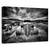 Tablou Canvas - Prea Batran Pentru A Conduce, Marime: 60 x 90 cm - - Roveli