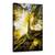Tablou Canvas - Ramas Bun De La O Frunza, Marime: 60 x 90 cm - - Roveli