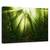 Tablou Canvas - Miracolul, Marime: 60 x 90 cm - - Roveli