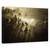 Tablou Canvas - Streiflichter, Marime: 60 x 90 cm - - Roveli