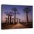 Tablou Canvas - Aleea Cu Baobabi, Marime: 60 x 90 cm - - Roveli