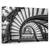 Tablou Canvas - Rookery, Marime: 60 x 90 cm - - Roveli