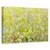 Tablou Canvas - Flori De Camp De Vara, Marime: 60 x 90 cm - - Roveli