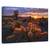 Tablou Canvas - Gradina Cholla, Marime: 60 x 90 cm - - Roveli