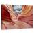 Tablou Canvas - Calareti Pe Furtuna, Marime: 60 x 90 cm - - Roveli