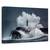 Tablou Canvas - Pieptene, Marime: 60 x 90 cm - - Roveli