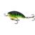 Vobler Vidra Bombhead 5cm/10gr, Varianta (50): Bombhead 5cm/10gr FP - - Roveli