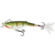 Vobler Salmo Rail Shad RB6S, Varianta (50): Rail Shad RB6S IPE Ice Perch - - Roveli