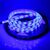 Banda led Albastra 3528,  300 leduri, 12V, 5m - 3- Roveli