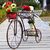 Suport ghivece tip bicicleta vintage, 2 modele - 4- Roveli