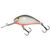 Vobler Salmo Hornet H5F, Varianta (50): Hornet H5F GS - - Roveli