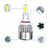 Set 2 becuri auto C6 9006, 6000K, 96W/set, 3600lm, IP68 - 5- Roveli