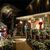 Instalatie pom de Craciun, 500 LED, 50m, 2 nuante - 5- Roveli