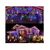 Instalatie tip turturi, 12m, 300Led, multicolor, consum redus - 2- Roveli