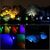 Proiector LED COB 20W, RGB, IP65, 220V - 5- Roveli