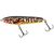 Vobler Salmo Sweeper SE12S, Varianta (50): Sweeper SE12S BM Barred Muskie - - Roveli